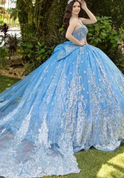Sweet Sixteen|Plus Sized Quince Dresses^LizLuo Quinceanera 56533
