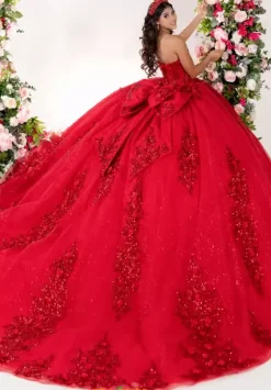 Plus Sized Quince Dresses^LizLuo Quinceanera 26137
