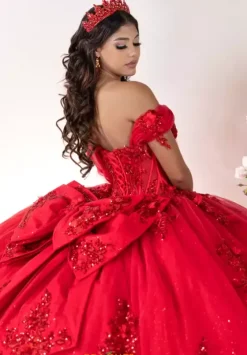 Plus Sized Quince Dresses^LizLuo Quinceanera 26137