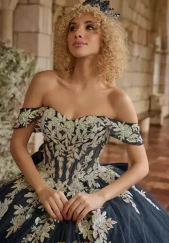 Plus Sized Quince Dresses^LizLuo Quinceanera 26126