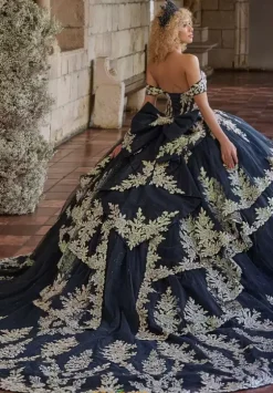 Plus Sized Quince Dresses^LizLuo Quinceanera 26126