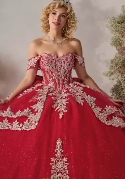 Plus Sized Quince Dresses^LizLuo Quinceanera 26126