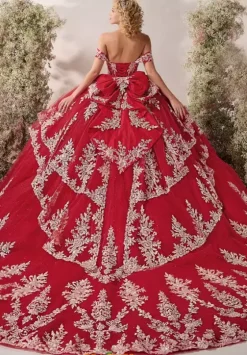 Plus Sized Quince Dresses^LizLuo Quinceanera 26126