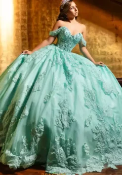Plus Sized Quince Dresses|Sweet Sixteen^LizLuo Quinceanera 80028