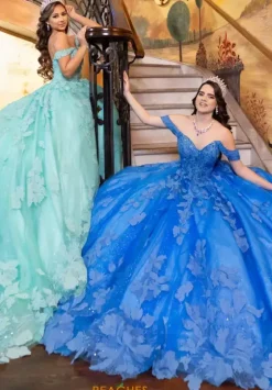 Plus Sized Quince Dresses|Sweet Sixteen^LizLuo Quinceanera 80028