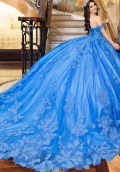 Plus Sized Quince Dresses|Sweet Sixteen^LizLuo Quinceanera 80028