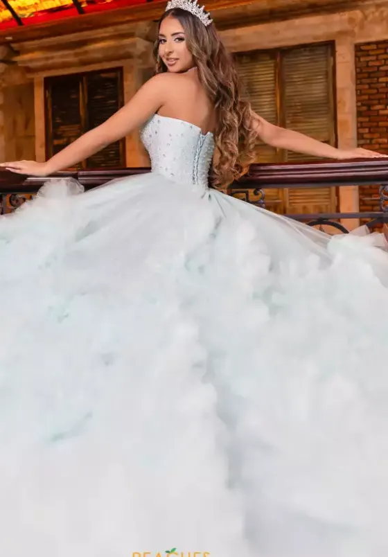 Plus Sized Quince Dresses|Sweet Sixteen^LizLuo Quinceanera 80022