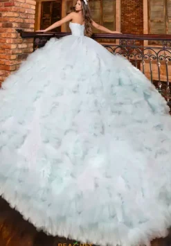 Plus Sized Quince Dresses|Sweet Sixteen^LizLuo Quinceanera 80022
