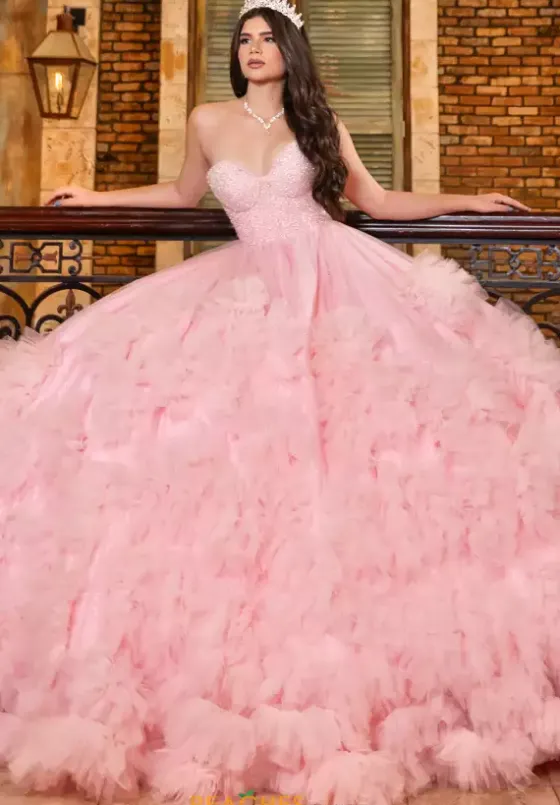 Plus Sized Quince Dresses|Sweet Sixteen^LizLuo Quinceanera 80022