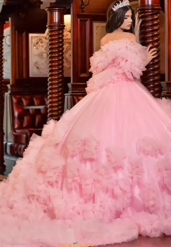 Plus Sized Quince Dresses|Sweet Sixteen^LizLuo Quinceanera 80022