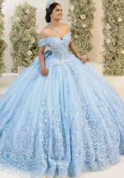 Plus Sized Quince Dresses^LizLuo Quinceanera 56557