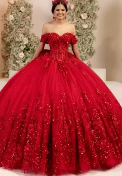 Plus Sized Quince Dresses^LizLuo Quinceanera 56557