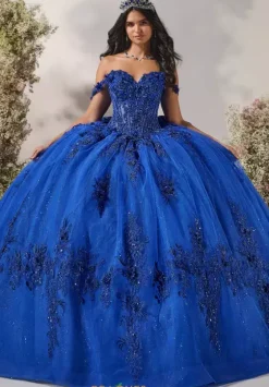 Plus Sized Quince Dresses^LizLuo Quinceanera 56543