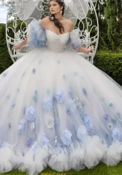 Plus Sized Quince Dresses|Sweet Sixteen^LizLuo Quinceanera 80025