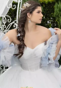 Plus Sized Quince Dresses|Sweet Sixteen^LizLuo Quinceanera 80025