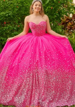 Plus Sized Quince Dresses|Sweet Sixteen^LizLuo Quinceanera 56522