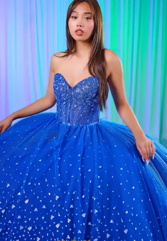 Plus Sized Quince Dresses|Sweet Sixteen^LizLuo Quinceanera 56522