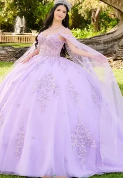 Quince Dresses With Sleeves|Plus Sized Quince Dresses^LizLuo Quinceanera 56516