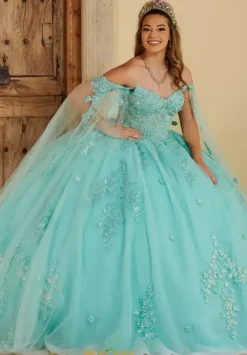 Quince Dresses With Sleeves|Plus Sized Quince Dresses^LizLuo Quinceanera 56516