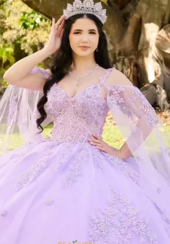 Quince Dresses With Sleeves|Plus Sized Quince Dresses^LizLuo Quinceanera 56516