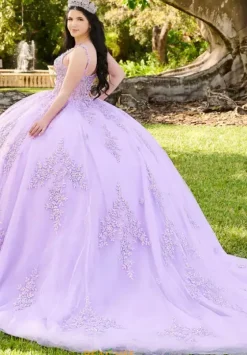 Quince Dresses With Sleeves|Plus Sized Quince Dresses^LizLuo Quinceanera 56516