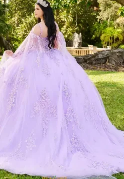 Quince Dresses With Sleeves|Plus Sized Quince Dresses^LizLuo Quinceanera 56516