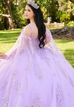 Quince Dresses With Sleeves|Plus Sized Quince Dresses^LizLuo Quinceanera 56516