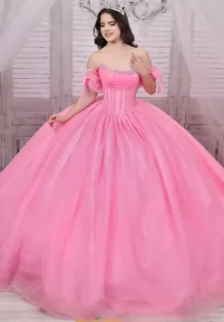 Plus Sized Quince Dresses|Sweet Sixteen^LizLuo Quinceanera 26114