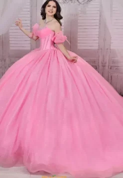 Plus Sized Quince Dresses|Sweet Sixteen^LizLuo Quinceanera 26114