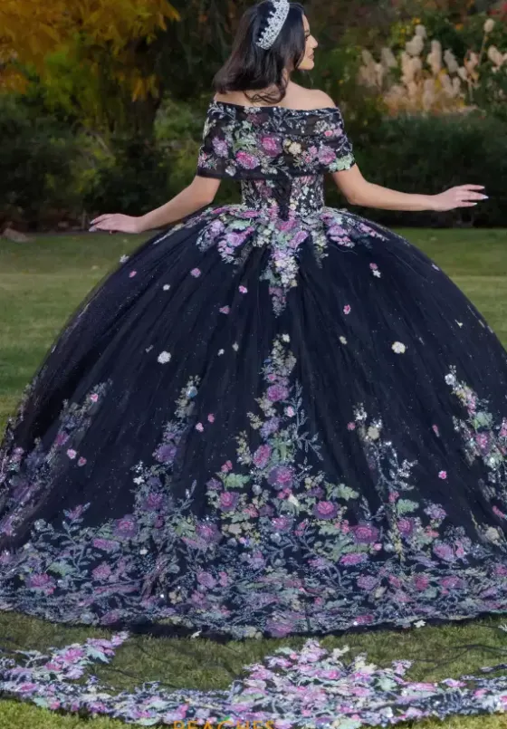 Plus Sized Quince Dresses|Sweet Sixteen^LizLuo Quinceanera 26088