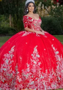 Plus Sized Quince Dresses|Sweet Sixteen^LizLuo Quinceanera 26088