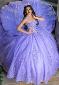 Plus Sized Quince Dresses|Sweet Sixteen^LizLuo Quinceanera 26086