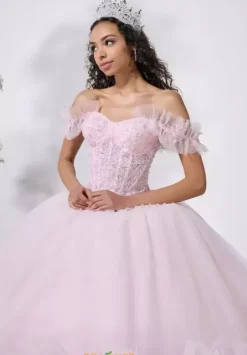 Plus Sized Quince Dresses^LizLuo Quinceanera 80049