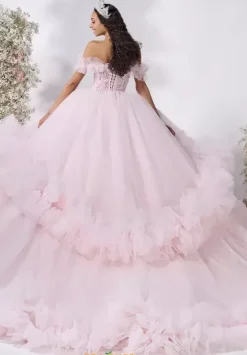 Plus Sized Quince Dresses^LizLuo Quinceanera 80049