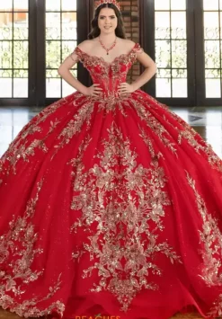 Sweet Sixteen|Plus Sized Quince Dresses^LizLuo Quinceanera 80037