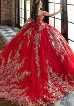 Sweet Sixteen|Plus Sized Quince Dresses^LizLuo Quinceanera 80037