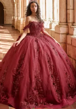 Plus Sized Quince Dresses^LizLuo Quinceanera 80051
