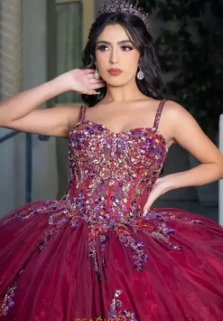 Plus Sized Quince Dresses|Sweet Sixteen^LizLuo Quinceanera 26087