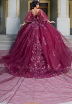 Plus Sized Quince Dresses|Sweet Sixteen^LizLuo Quinceanera 26087