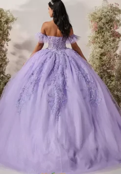 Plus Sized Quince Dresses^LizLuo Quinceanera 56545