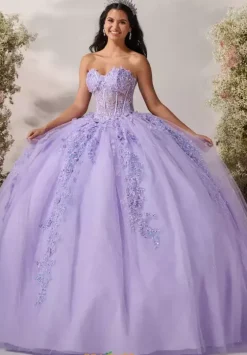 Plus Sized Quince Dresses^LizLuo Quinceanera 56545