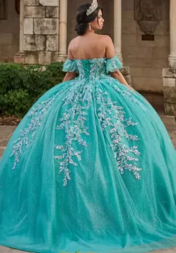 Plus Sized Quince Dresses^LizLuo Quinceanera 56545