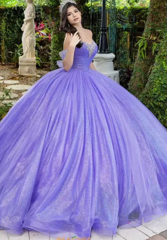 Plus Sized Quince Dresses|Sweet Sixteen^LizLuo Quinceanera 56537