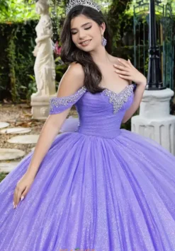 Plus Sized Quince Dresses|Sweet Sixteen^LizLuo Quinceanera 56537