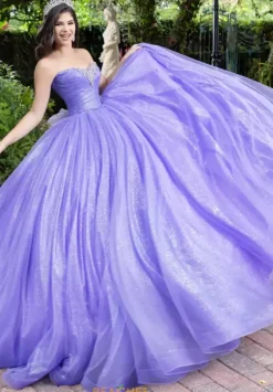 Plus Sized Quince Dresses|Sweet Sixteen^LizLuo Quinceanera 56537