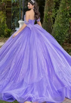 Plus Sized Quince Dresses|Sweet Sixteen^LizLuo Quinceanera 56537