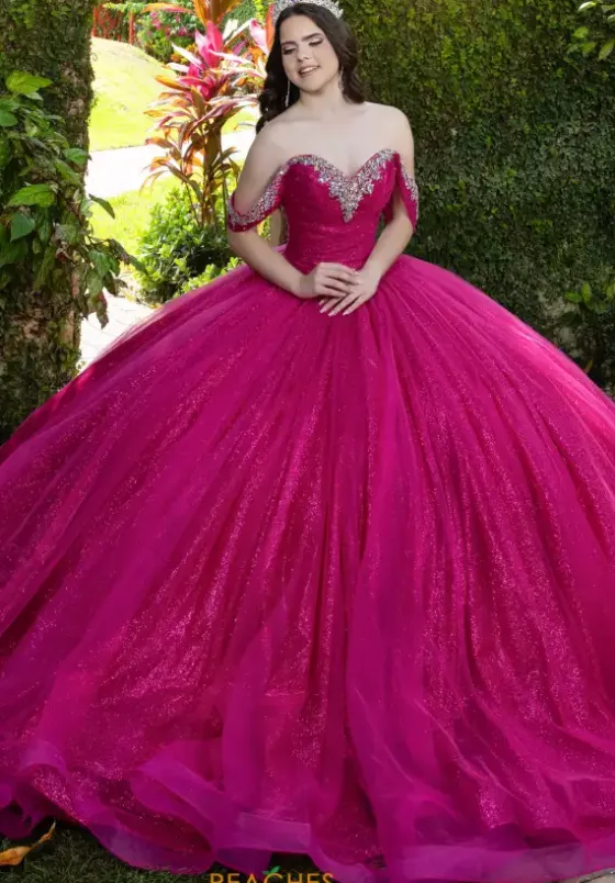 Plus Sized Quince Dresses|Sweet Sixteen^LizLuo Quinceanera 56537