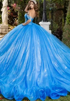 Plus Sized Quince Dresses|Sweet Sixteen^LizLuo Quinceanera 56537
