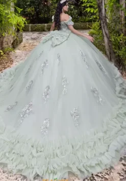 Plus Sized Quince Dresses|Sweet Sixteen^LizLuo Quinceanera 26108