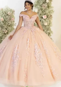 Plus Sized Quince Dresses^LizLuo Quinceanera 56556